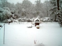 sneeuw, sneeuw en no...